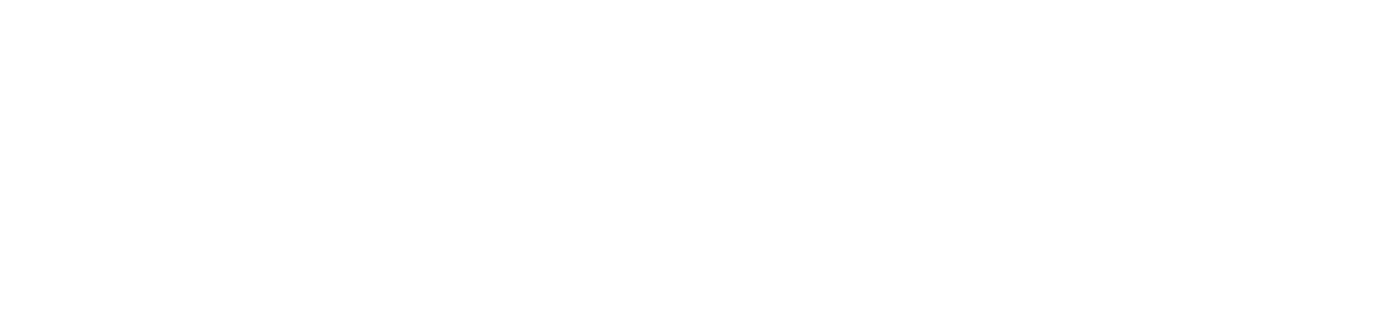 Bondina